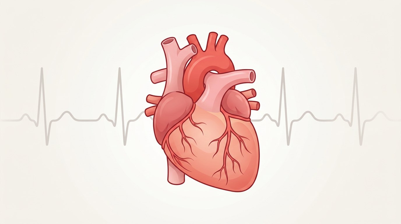 Illustration of a heart and heartbeat line — represents a heart specialist